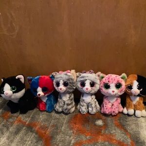 6 pack if beanie boo cats